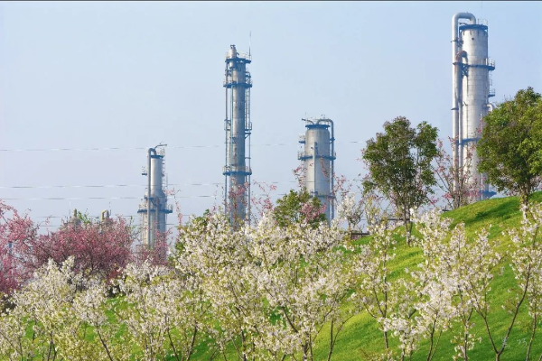 1749451488243559.png s_005dd68bd033480cb1f13b543d0c72e2.png