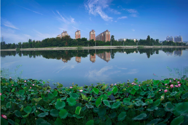 1759827573886628.png s_577d320b674347ef84e94e850b0074cb.png